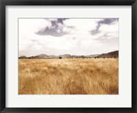 Framed Meadow