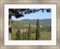 Framed My Tuscany