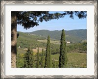 Framed My Tuscany