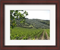 Framed Tuscan Hills