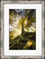 Framed Goodbye of a Leaf