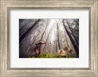 Framed Small and Giant Creatures of the Woods