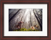 Framed Small and Giant Creatures of the Woods