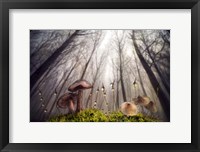 Framed Small and Giant Creatures of the Woods