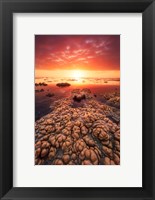 Framed Low Tide on the Lagoon of Saint Leu