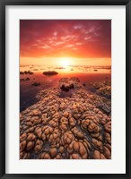 Framed Low Tide on the Lagoon of Saint Leu