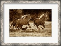 Framed Paso Horses