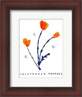 Framed California Poppies