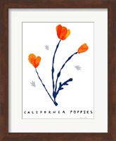 Framed California Poppies