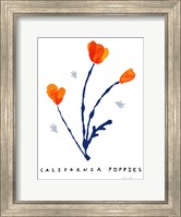 Framed California Poppies