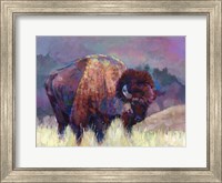 Framed Buffalo Roam