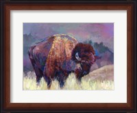 Framed Buffalo Roam