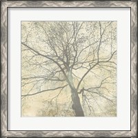 Framed Below My Tree II (detail)