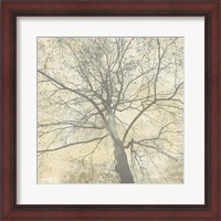 Framed Below My Tree II (detail)