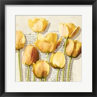 Framed 'Histoires de Tulipes (detail)' border=