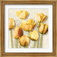Framed 'Histoires de Tulipes (detail)' border=