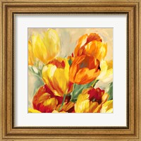 Framed Tulips in the Sun I