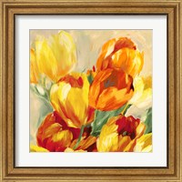 Framed 'Tulips in the Sun I' border=