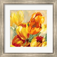 Framed 'Tulips in the Sun I' border=