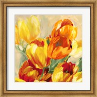 Framed Tulips in the Sun I