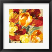 Framed Tulips in the Sun II