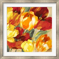 Framed Tulips in the Sun II