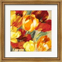 Framed 'Tulips in the Sun II' border=