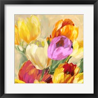 Framed Colorful Tulips I