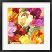 Colorful Tulips II Framed Print