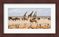 Framed Sovereign Passing By (Masai Mara)