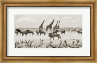 Framed Sovereign Passing By (Masai Mara, BW)