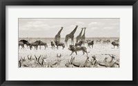 Framed Sovereign Passing By (Masai Mara, BW)
