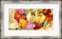 Framed Field of Colorful Tulips