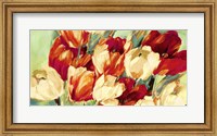 Framed Red & White Tulips