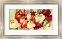 Framed Red & White Tulips