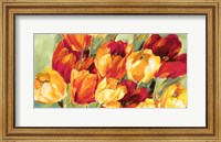 Framed Field of Tulips