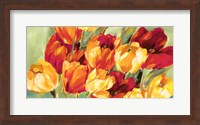 Framed Field of Tulips