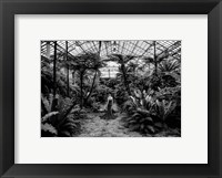 Framed Unconventional Womenscape #2, Jardin d'Hiver (BW)