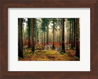 Framed Pack of Wolves in the Woods