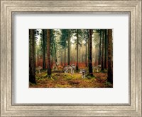 Framed Pack of Wolves in the Woods