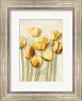 Framed Tulipes et Histoires