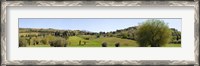 Framed Val d'Orcia, Siena, Tuscany