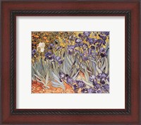 Framed Irises in the Garden, Saint-Remy, c.1889