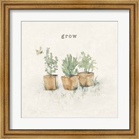 Framed Garden Plants