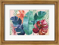 Framed Tropics I