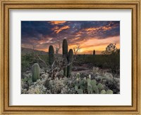 Framed Sunset Moonrise