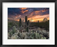 Framed Sunset Moonrise