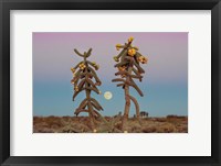 Framed Desert Moonrise