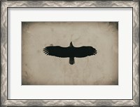 Framed Eagle Pass