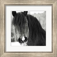 Framed Winter Horse II